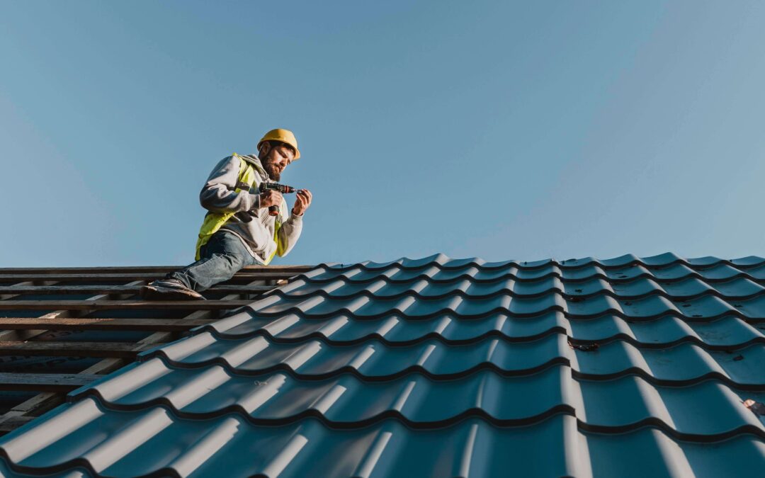 Roof cleaning