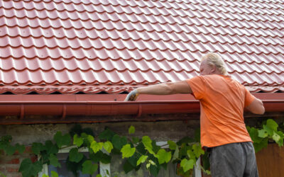Why Is Gutter Cleaning Important